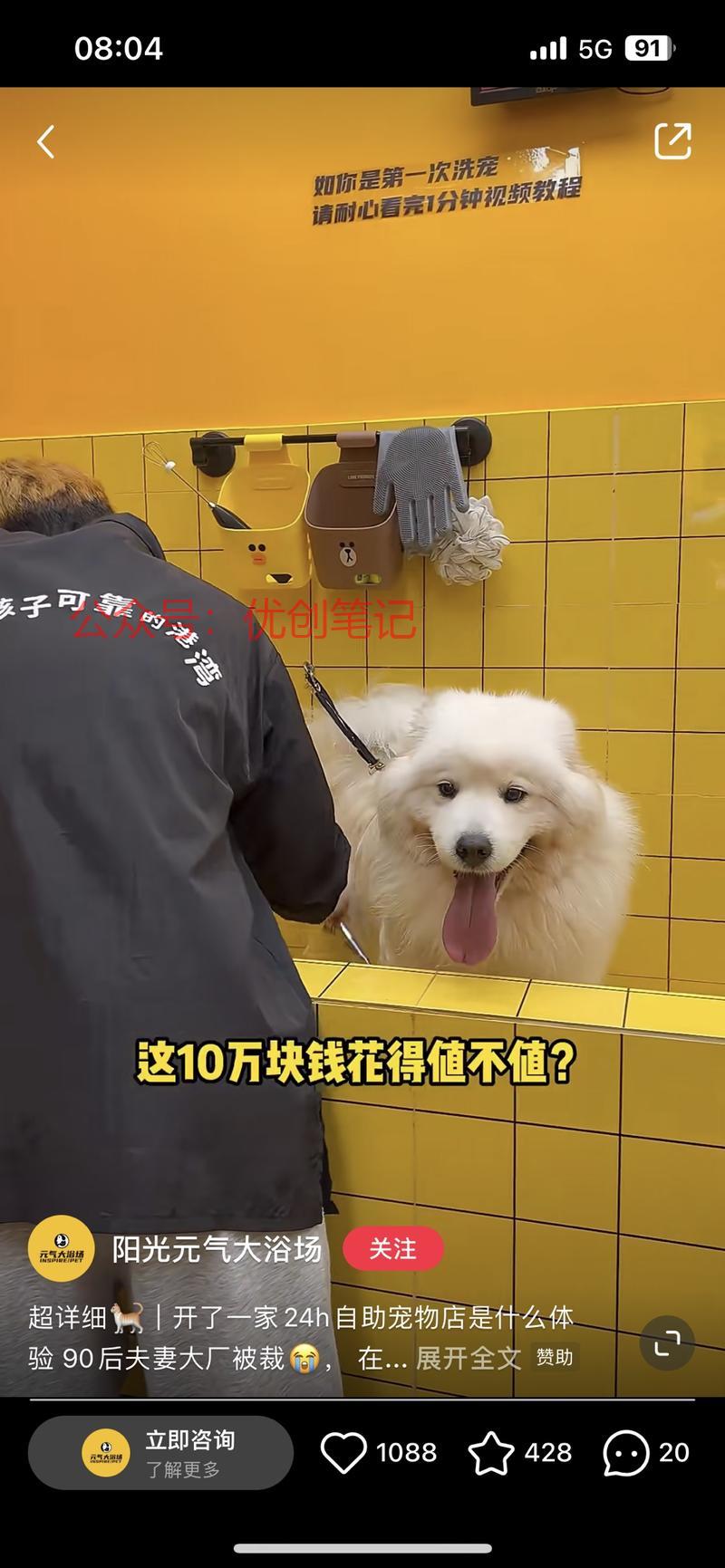 宠物赛道大火，那么细分…#情报-搞钱线报📢论坛-网创交流-优创圈